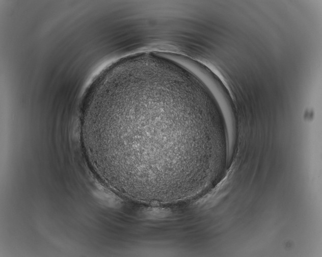 X0000091491115200708161433