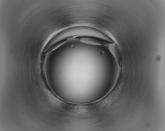 X0000091491116200708161433