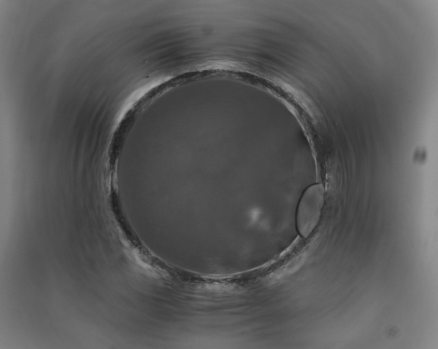 X0000091491117200708161433