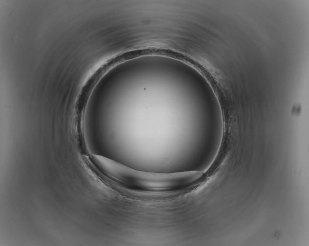 X0000091491118200708161433