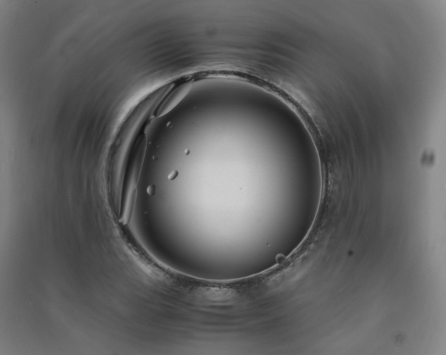 X0000091491119200708161433