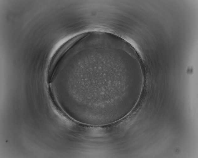 X0000091491120200708161433