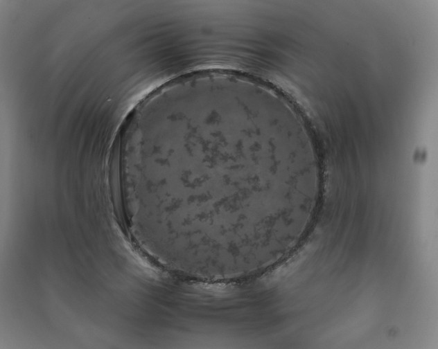X0000091491121200708161433