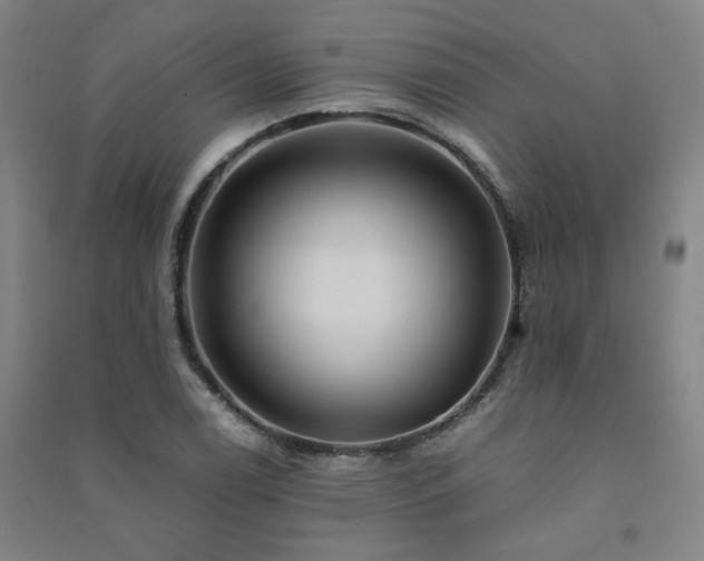 X0000091491122200708161433