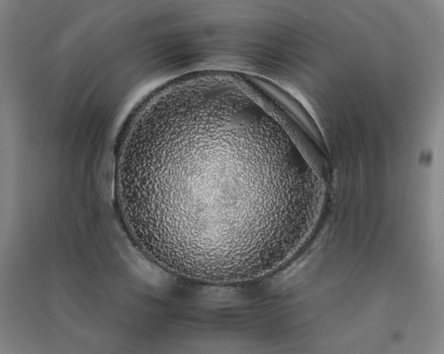 X0000091491123200708161433