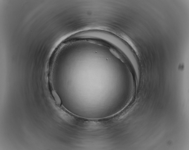 X0000091491124200708161433
