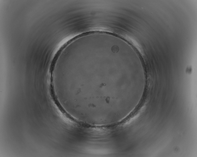 X0000091491125200708161433