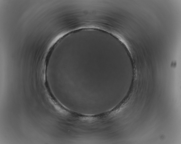X0000091491127200708161433