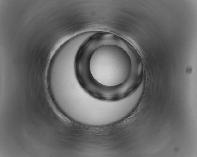 X0000091491128200708161433
