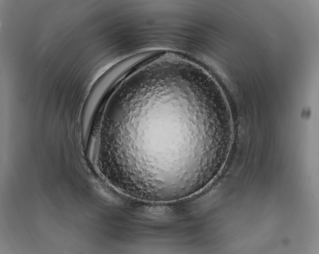 X0000091491129200708161433
