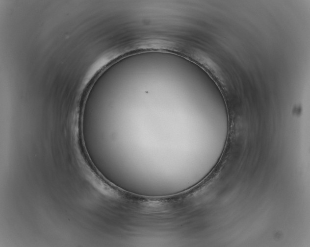 X0000091491130200708161433