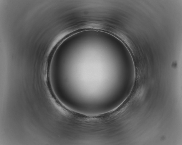 X0000091491131200708161433
