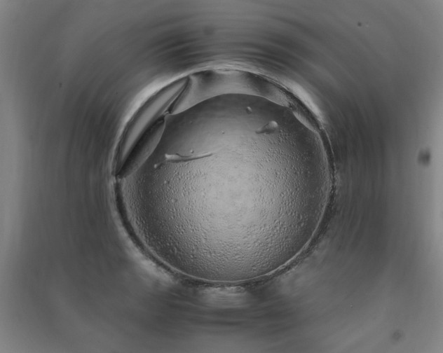 X0000091491133200708161433