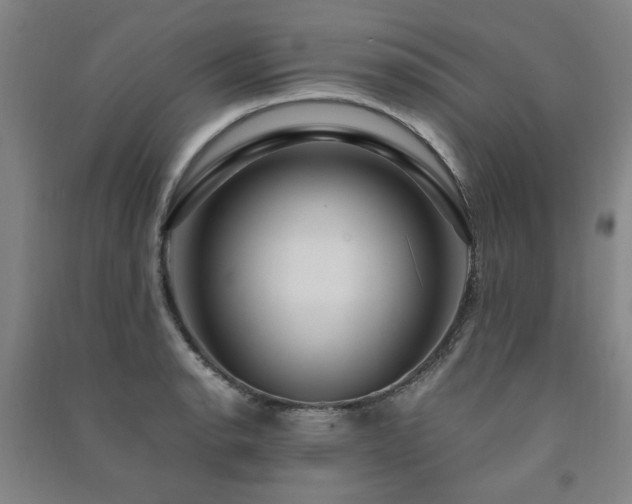 X0000091491134200708161433