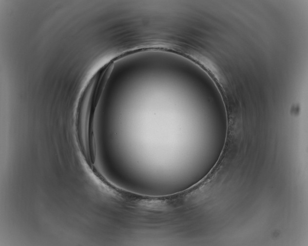 X0000091491135200708161433