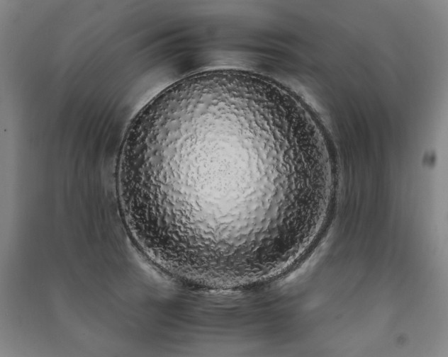X0000091491137200708161433