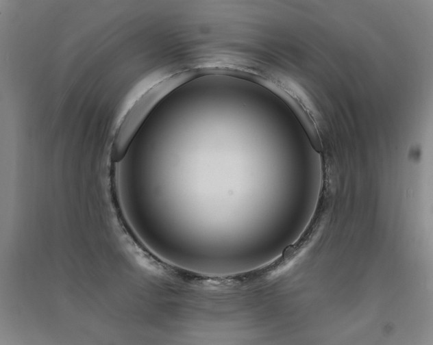 X0000091491138200708161433