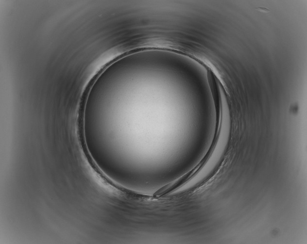 X0000091491139200708161433