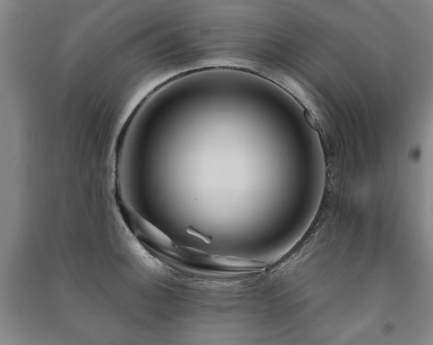 X0000091491140200708161433