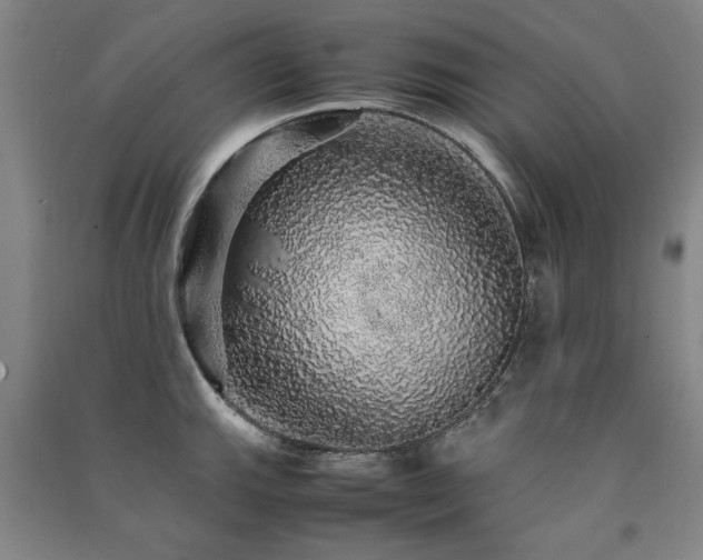 X0000091491143200708161433
