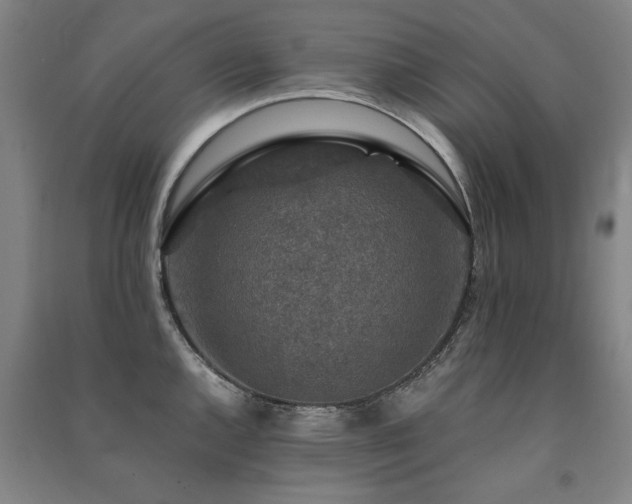 X0000091491144200708161433