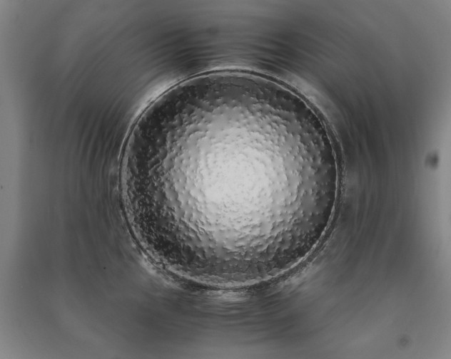 X0000091491145200708161433
