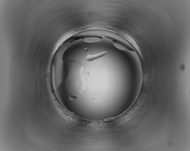 X0000091491146200708161433