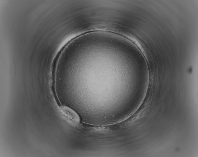 X0000091491147200708161433