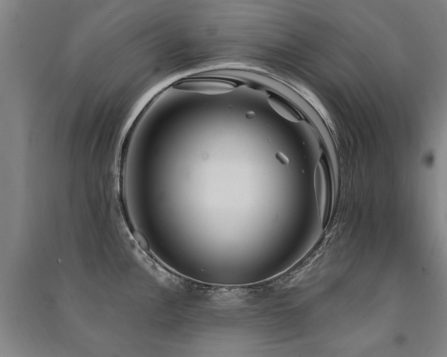 X0000091491148200708161433