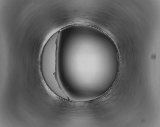 X0000091491152200708161433