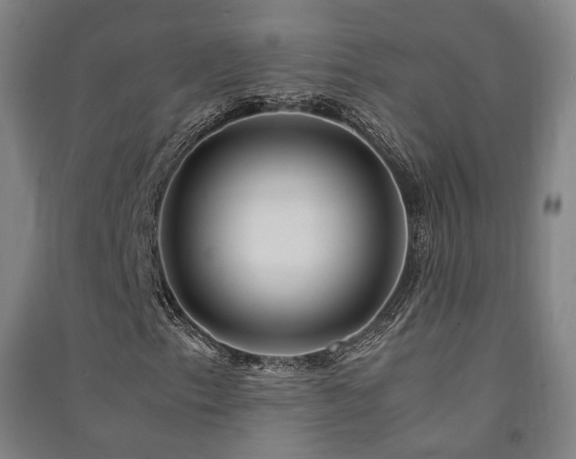 X0000091491153200708161433