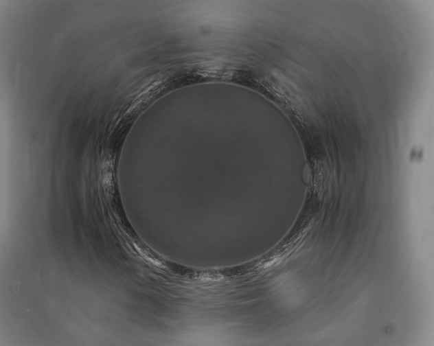 X0000091491154200708161433