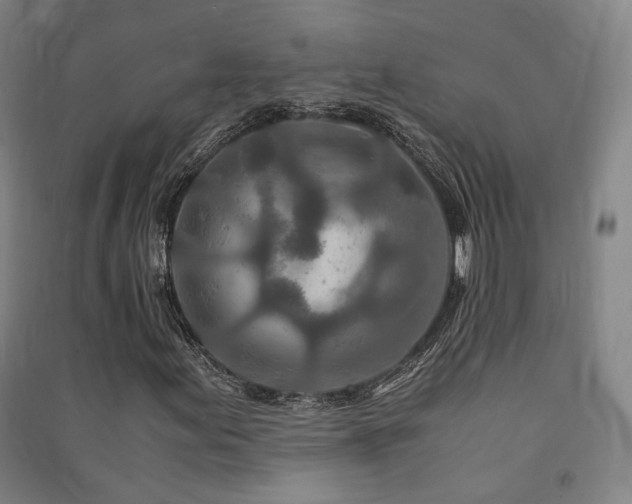X0000091491155200708161433