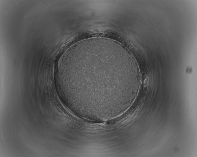 X0000091491156200708161433