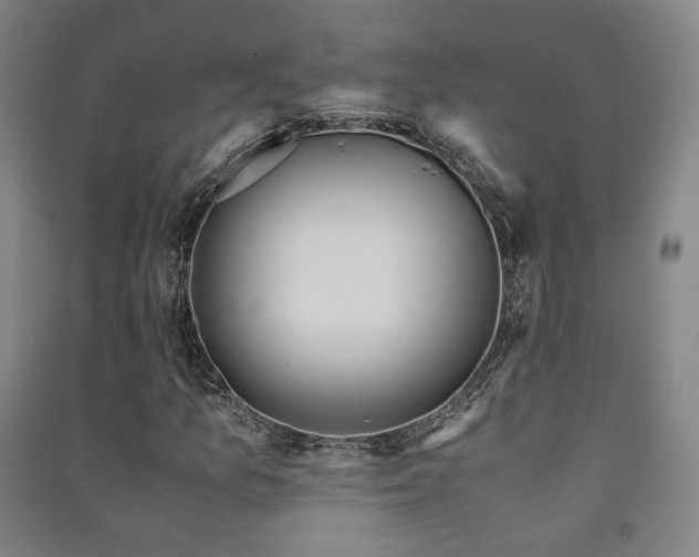 X0000091491157200708161433