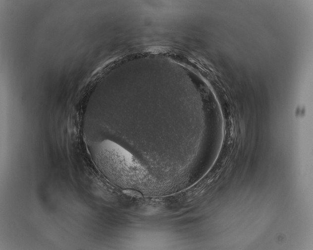 X0000091491158200708161433