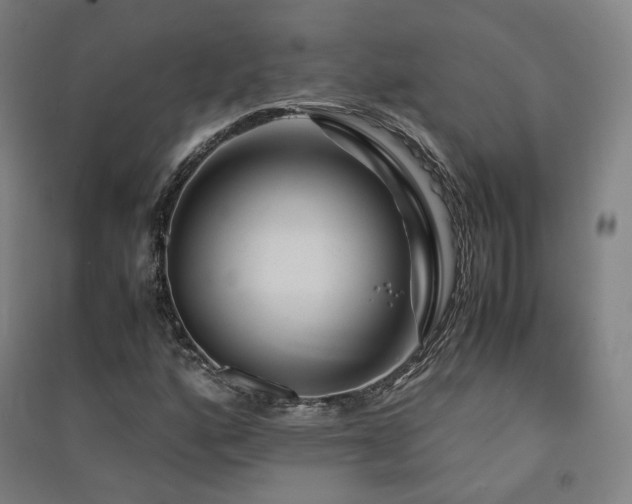 X0000091491160200708161433