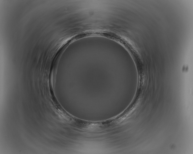 X0000091491161200708161433