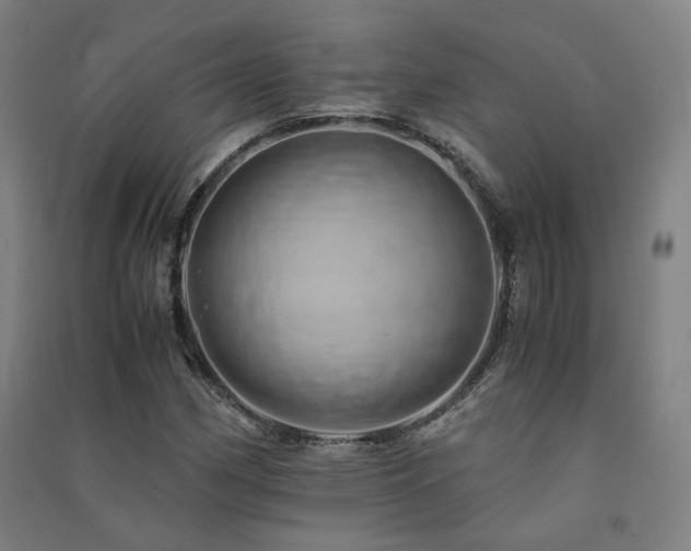 X0000091491162200708161433