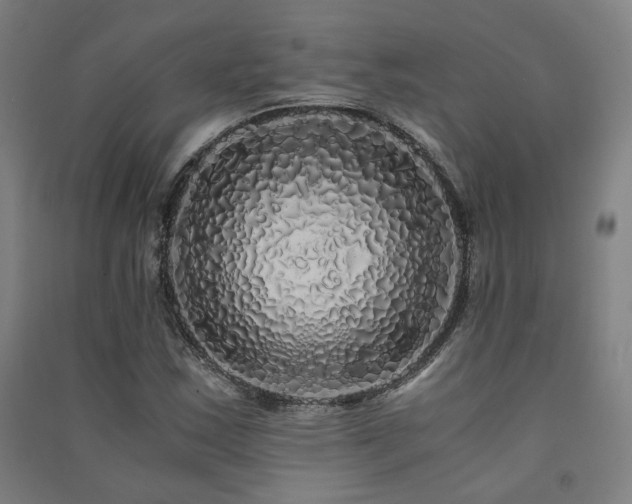 X0000091491163200708161433