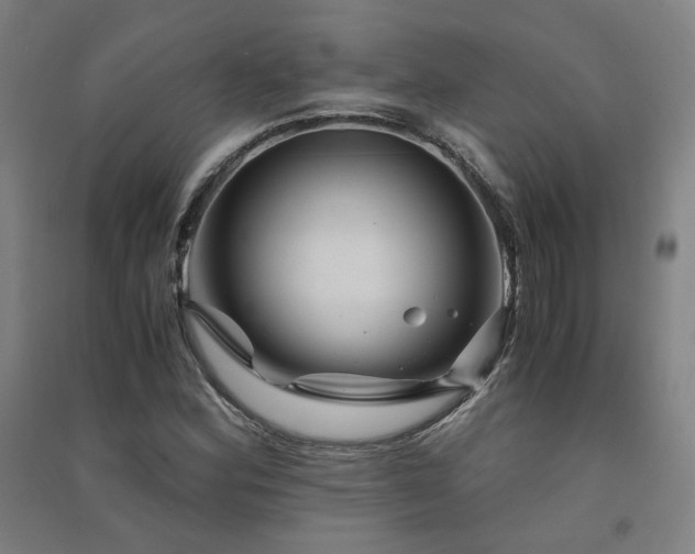X0000091491164200708161433