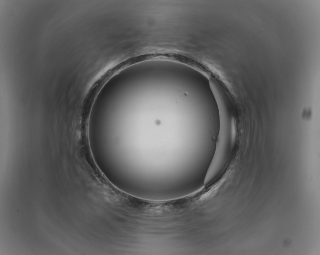 X0000091491165200708161433