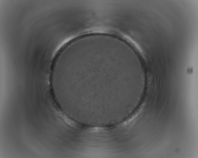 X0000091491166200708161433