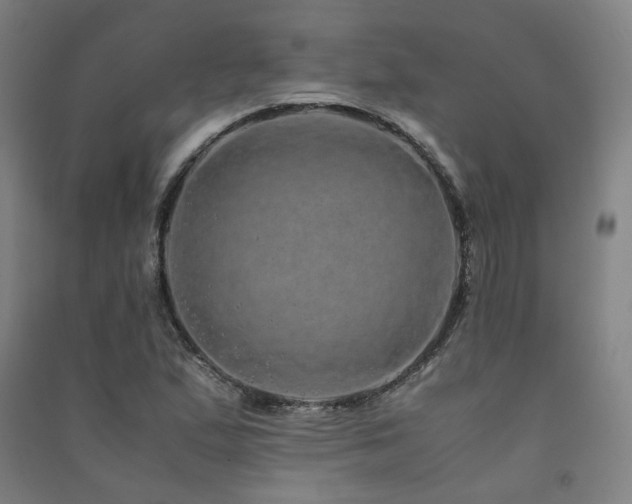 X0000091491167200708161433