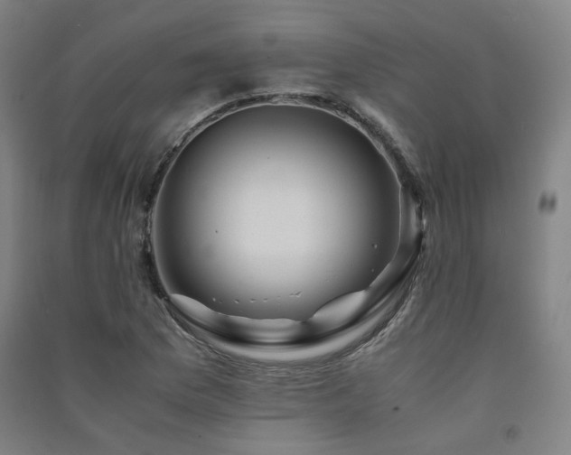 X0000091491169200708161433