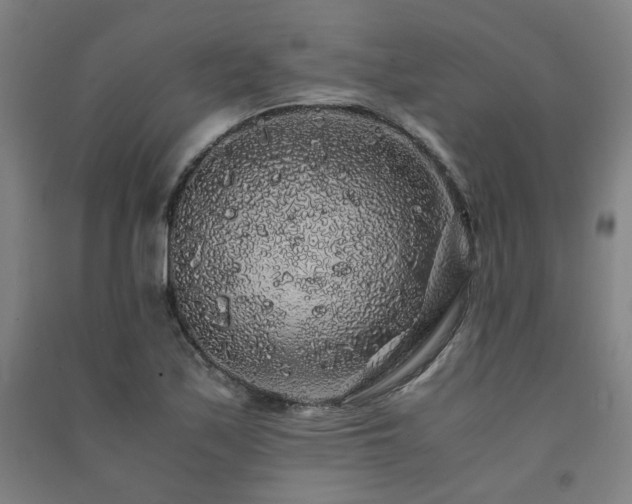 X0000091491171200708161433