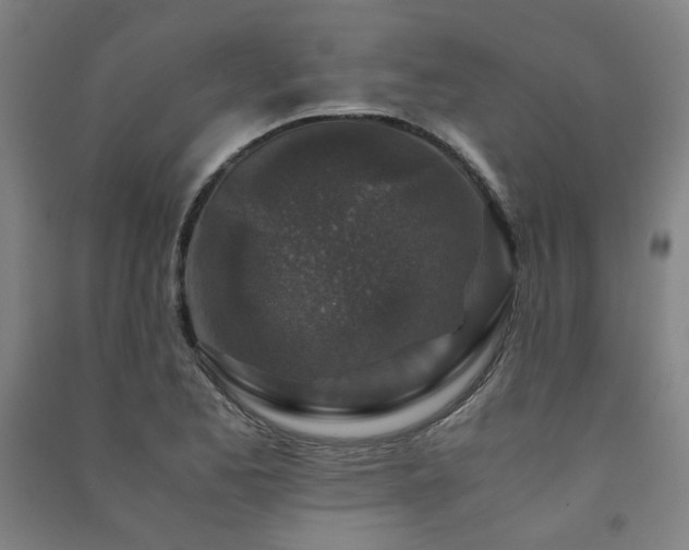 X0000091491173200708161433