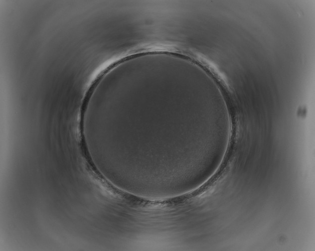 X0000091491174200708161433