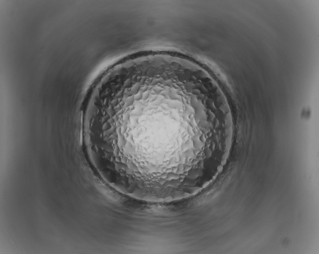 X0000091491175200708161432
