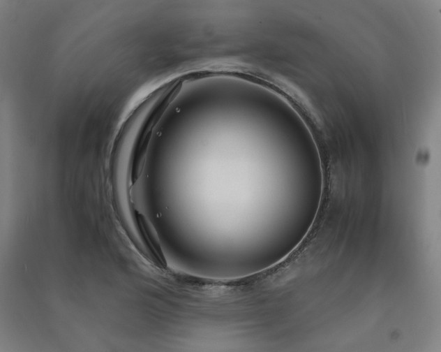 X0000091491176200708161432
